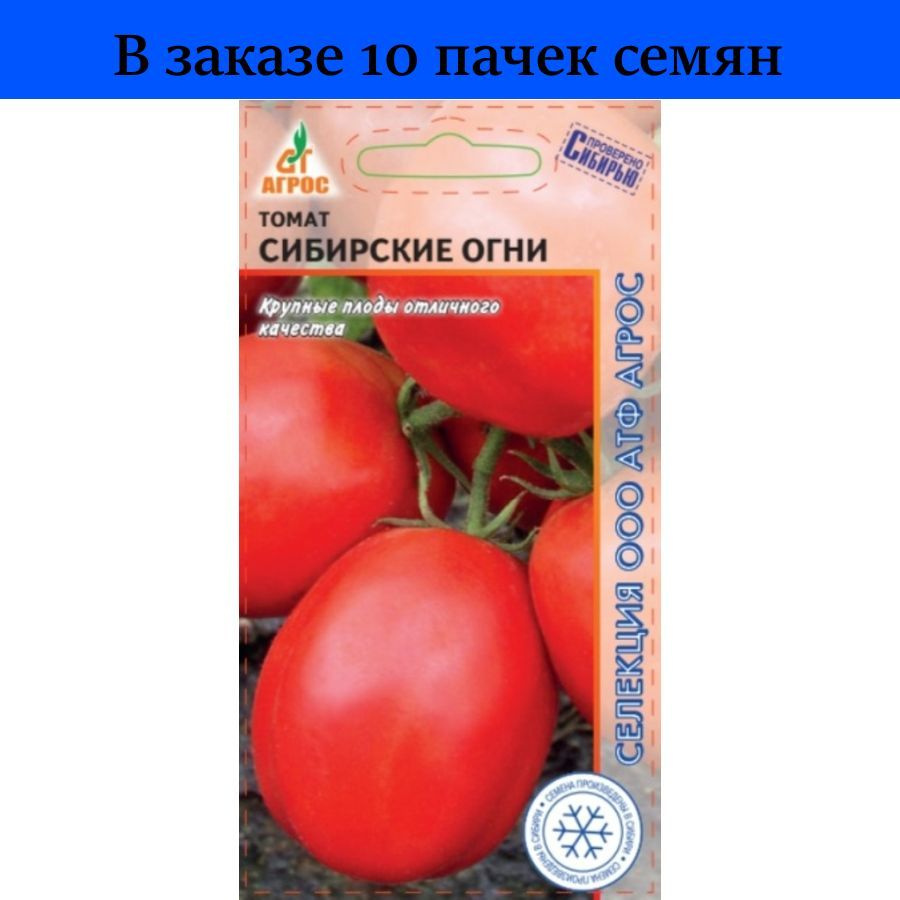 Посадка томатов на рассаду в домашних условиях – 4 слагаемых успеха