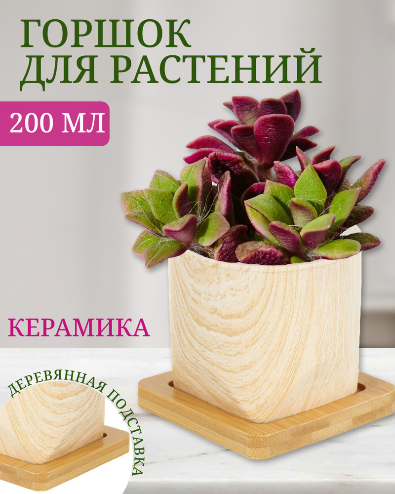 Кашпо керамика, 0.2 л, 8х7 см, с деревянной подставкой, Мрамор, Y4-5086 #1