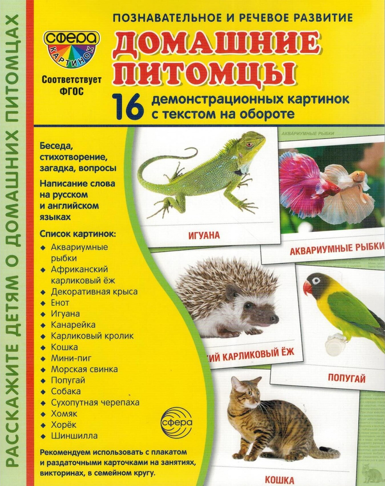 Демонстрационные картинки Домашние питомцы. 16 картинок. | Цветкова Татьяна Владиславовна  #1