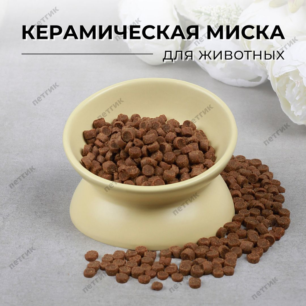 Миска для кошек и собак керамическая с наклоном одинарная (кремовый)  #1