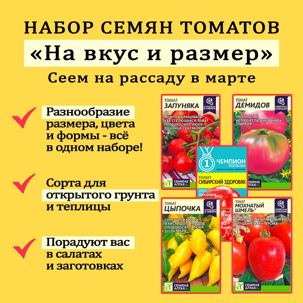 Запуняка. Томат цыпочка. Томаты Запуняка Алтайские семена. Оранжевые помидоры. Запуняка томат описание.