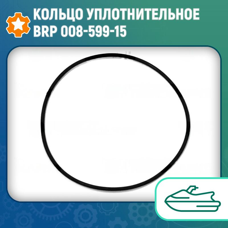 Кольцо уплотнительное BRP 008-599-15 #1