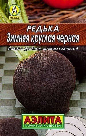 РЕДЬКА ЗИМНЯЯ КРУГЛАЯ ЧЕРНАЯ. Семена. Вес 1 гр. Корнеплоды отличаются высокой лежкостью при зимнем хранении #1