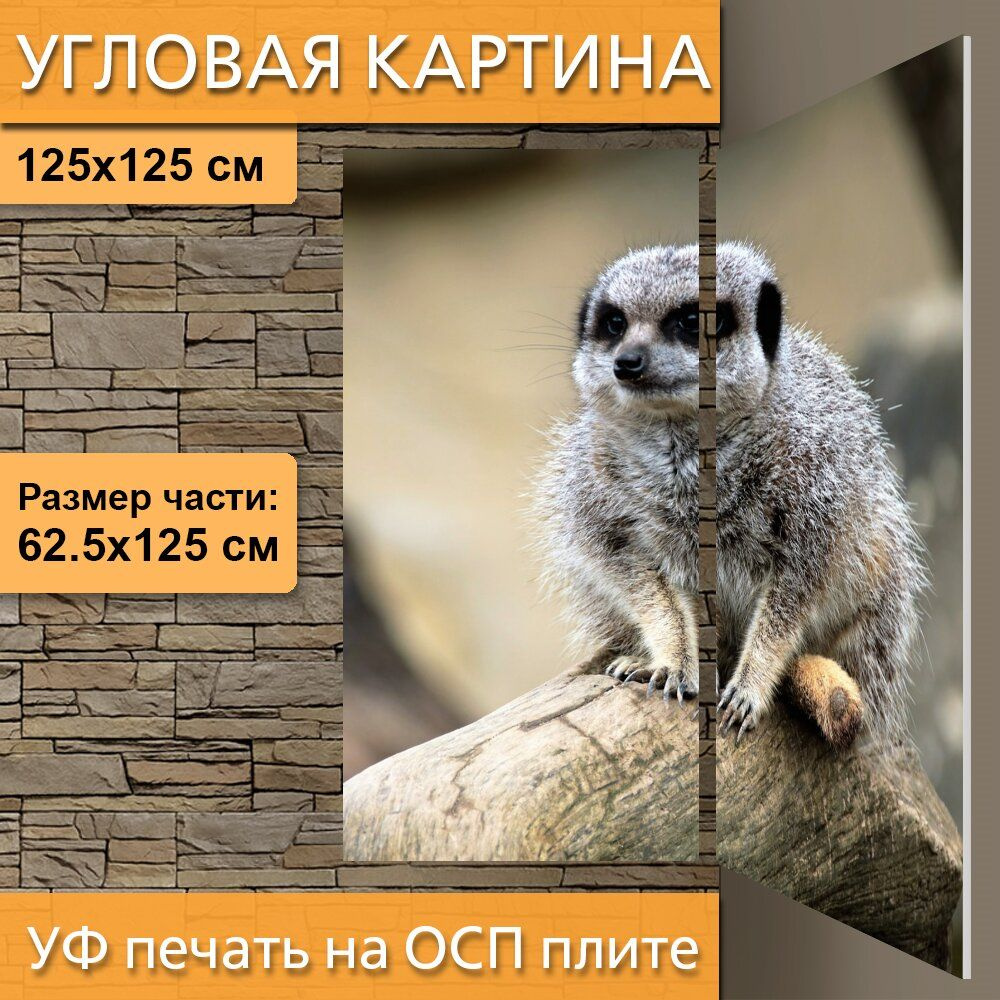 Угловая модульная картина 