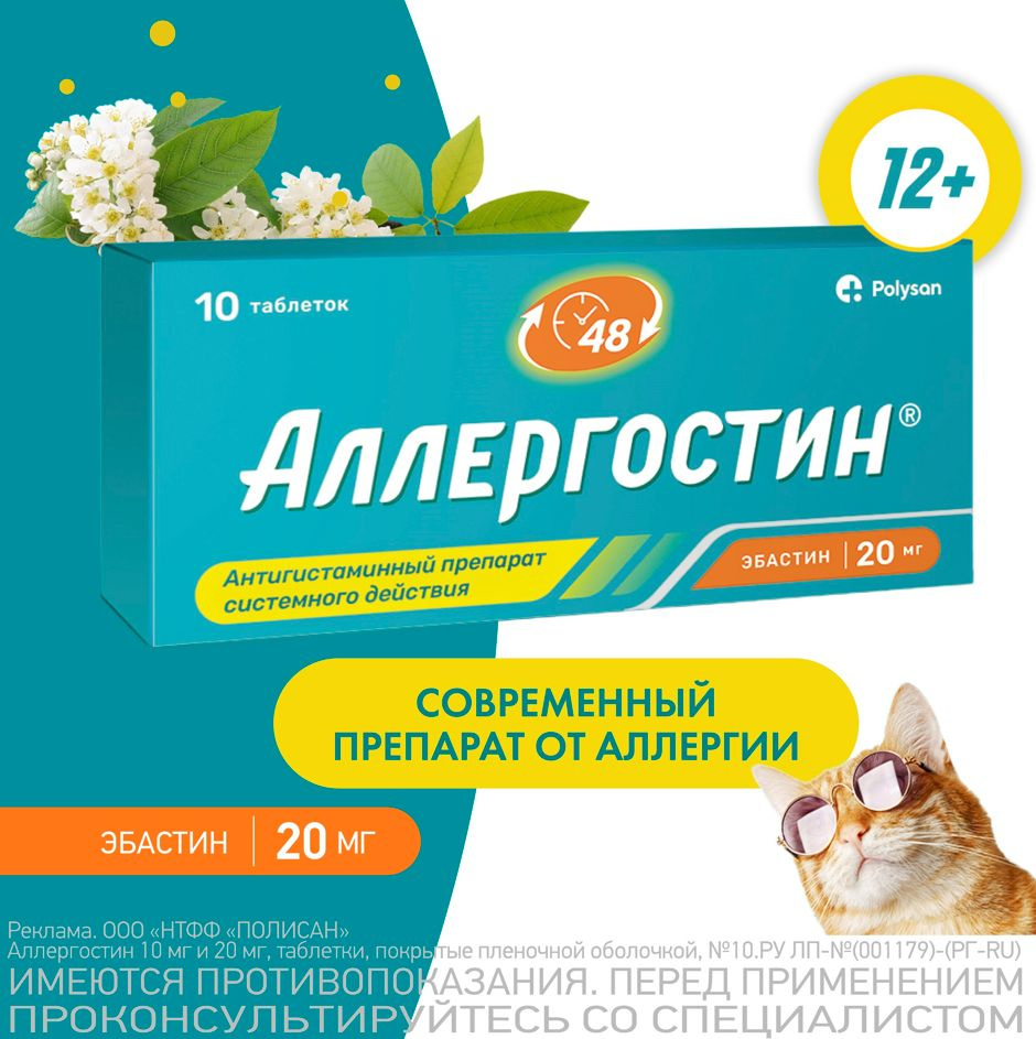 Пропала кошка: что делать хозяину — Purina ONE®