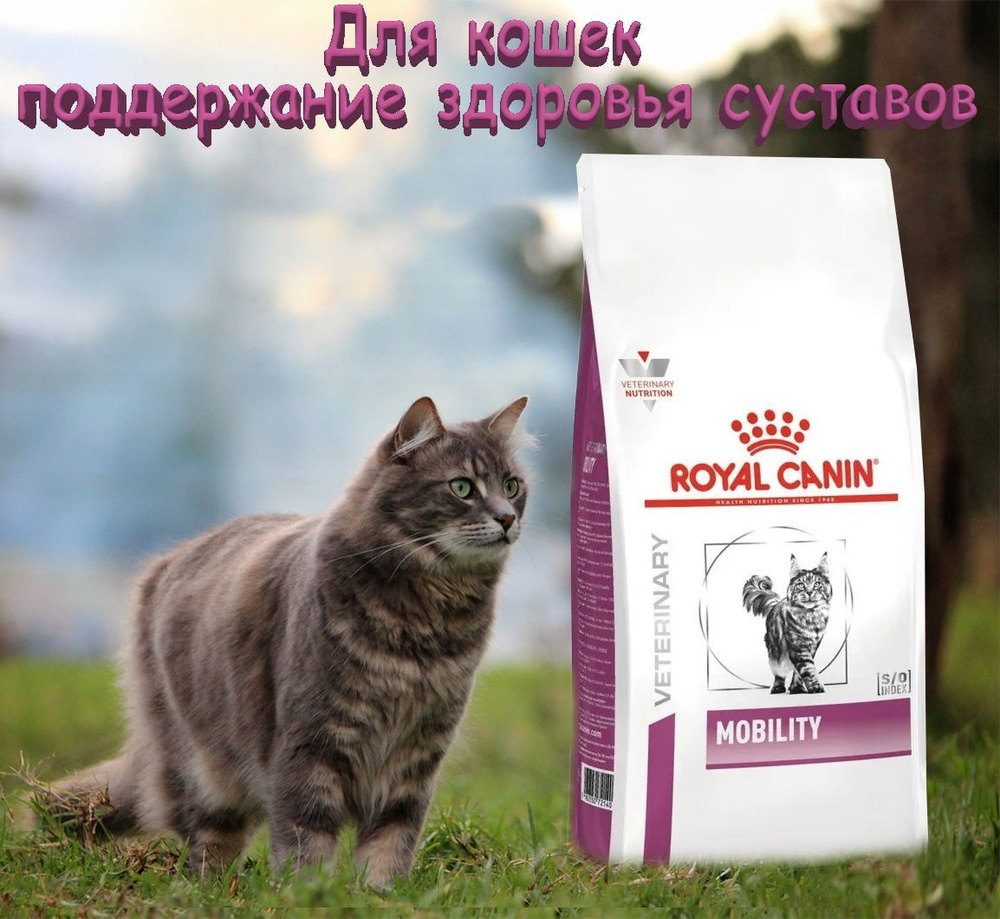 Сухой корм для кошек Royal Canin Mobility для кошек для поддержания ...