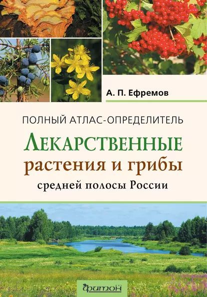 Лекарственные растения и грибы средней полосы России | Ефремов ...