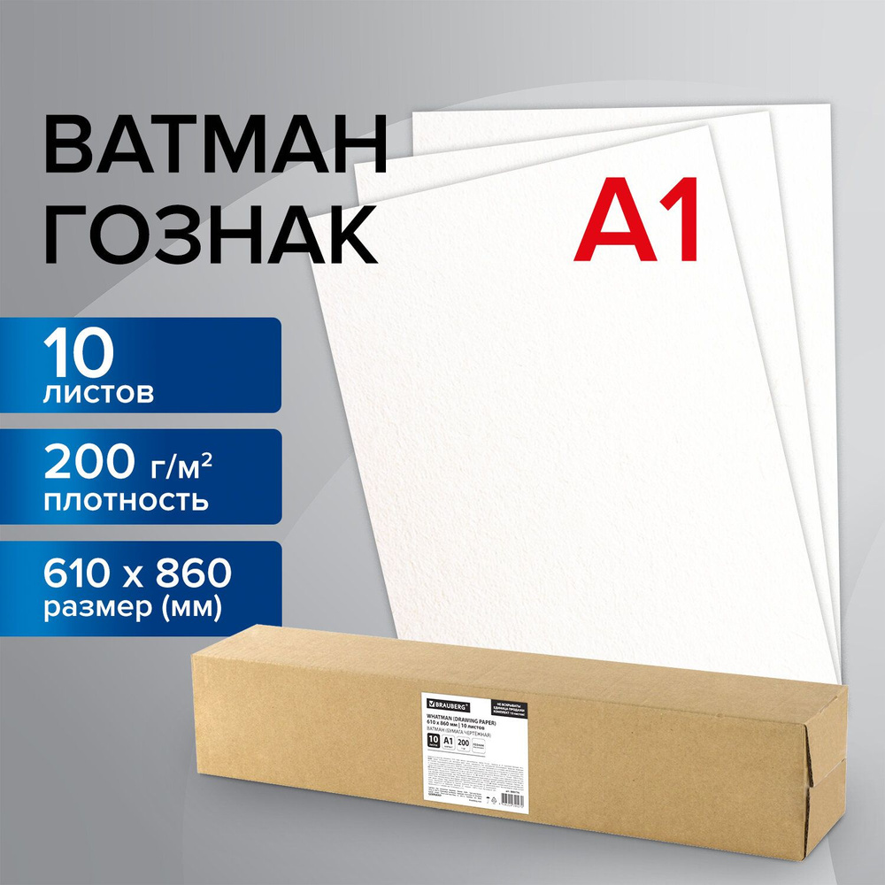 Brauberg Бумага для рисования A1 (59.4 × 84.1 см), 10 лист., шт #1