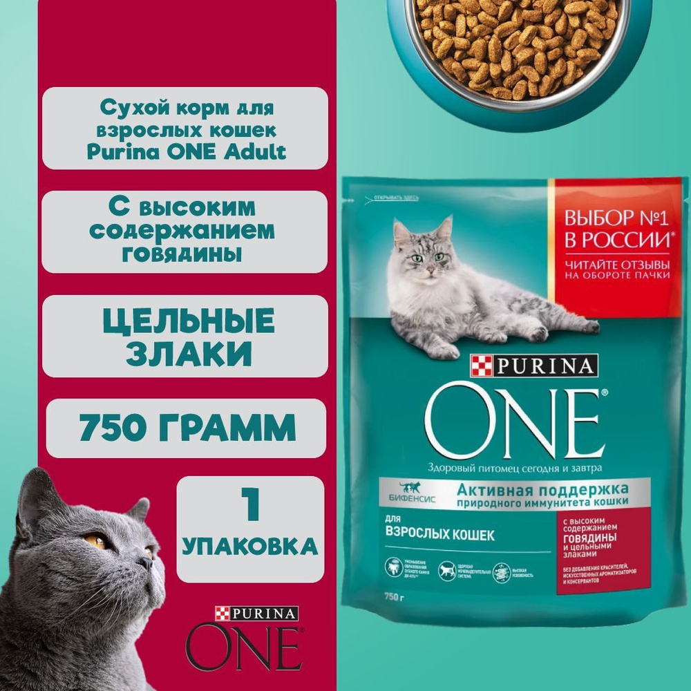 Корм для кошек сухой Purina ONE Adult говядина с цельными злаками 1 упаковка 750 грамм  #1