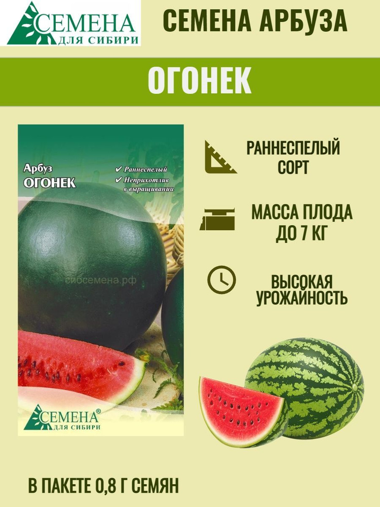 Арбуз Сибирские семена MODEL_c09cc590f8 - купить по выгодным ценам винтернет-магазине OZON (1056669932)