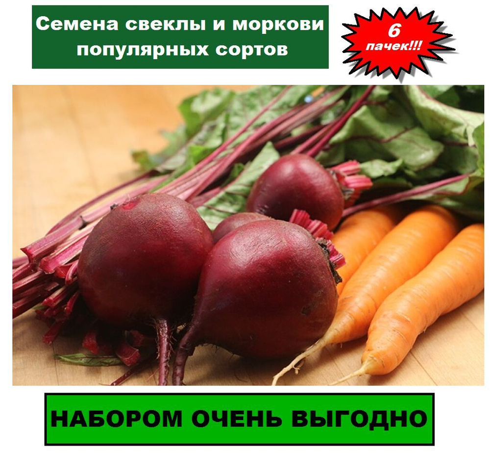 Морковь фиолетовая. Семена моркови навара f1 прец. Семена моркови для зимней посадки. Морковь и свекла. 1,6-1,8 мм.