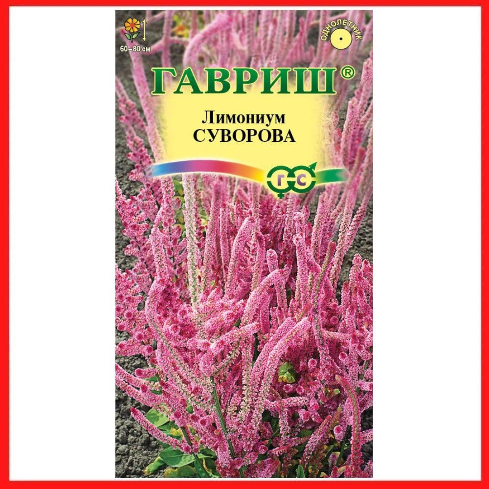 Семена Лимониум "Суворова розовый" 0,01 гр, однолетние травянистые растения для дома, дачи и сада, клумбы, #1