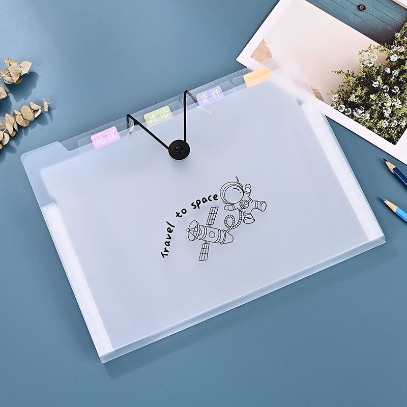 Папка органайзер для документов A4 с файлами на резинке + стикеры, 12 ...