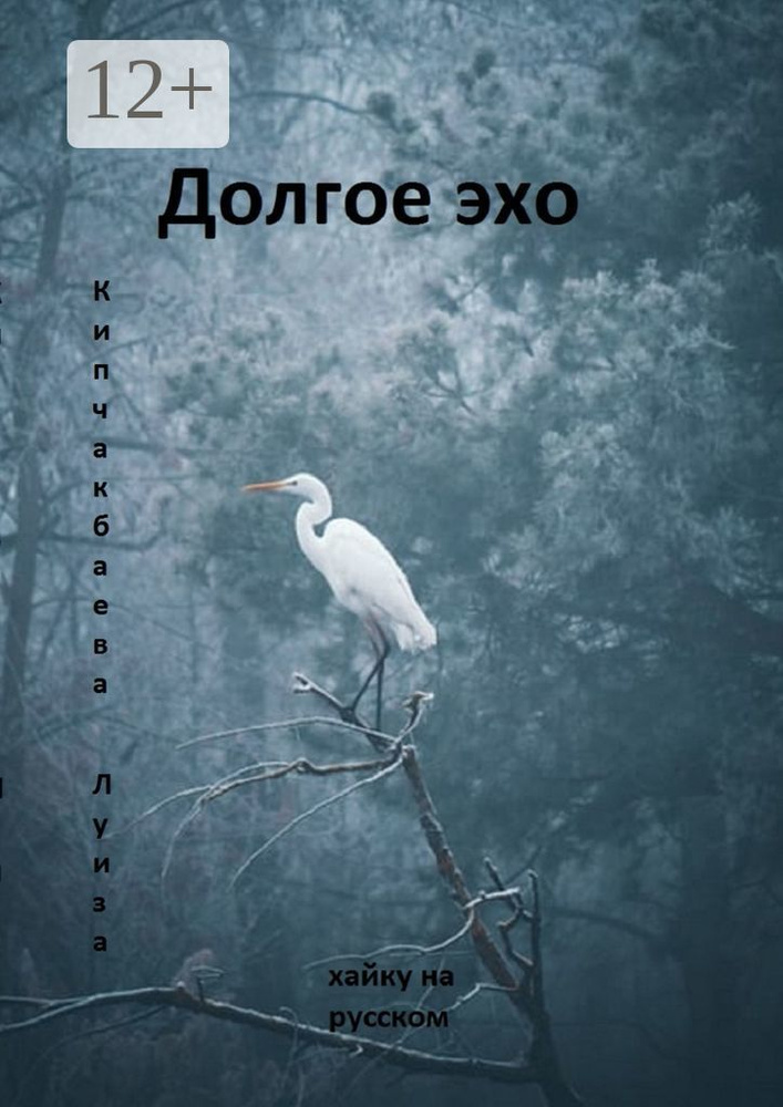 Долгое эхо | Кипчакбаева Луиза #1