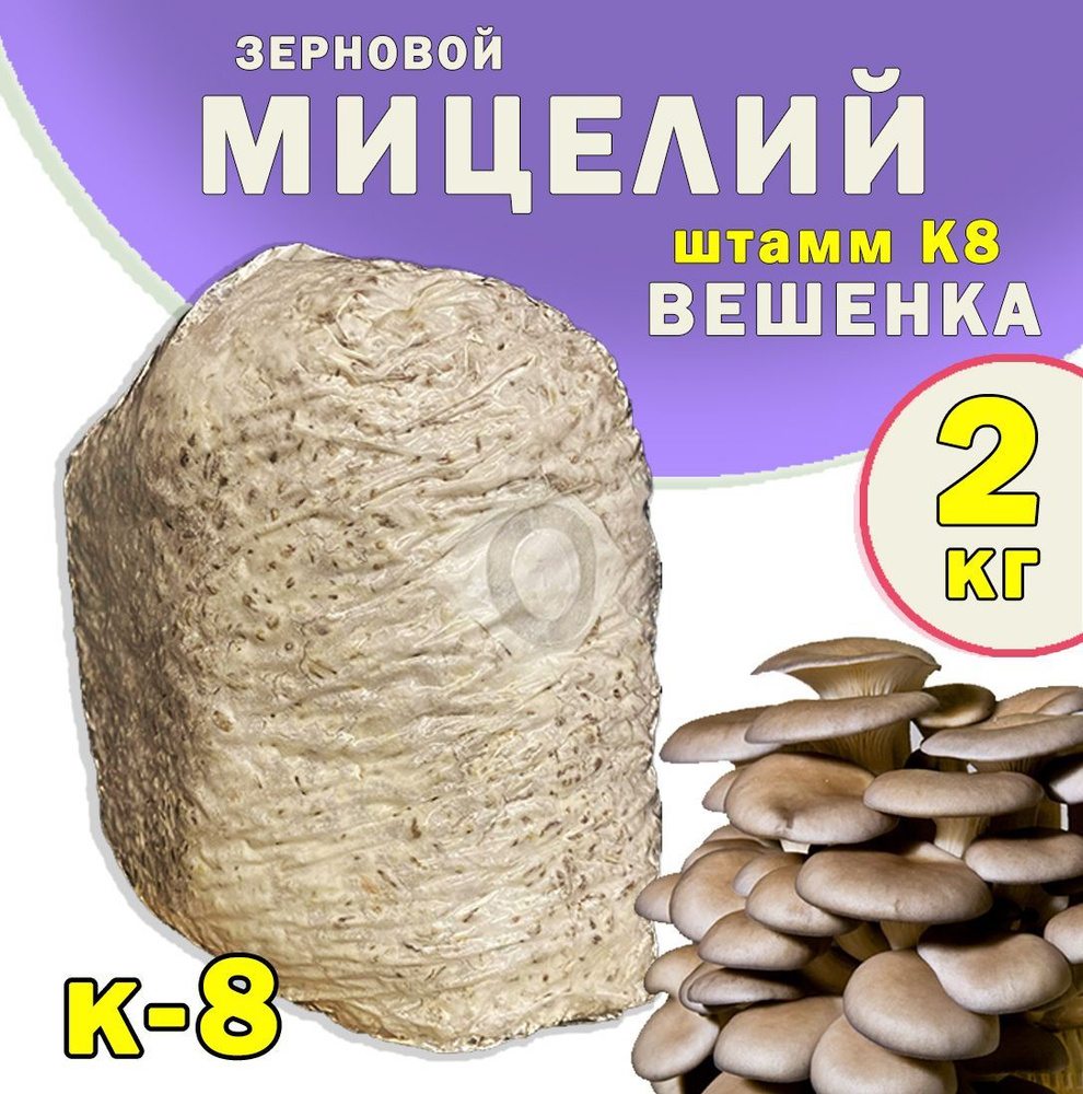 Технология выращивания мицелия грибов - Купить мицелий (семена) грибов