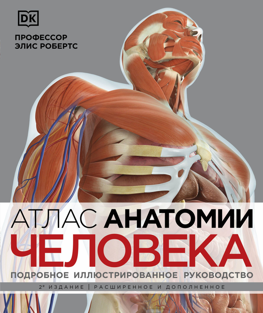 Атлас анатомии человека. Подробное иллюстрированноеководство - купить с ...