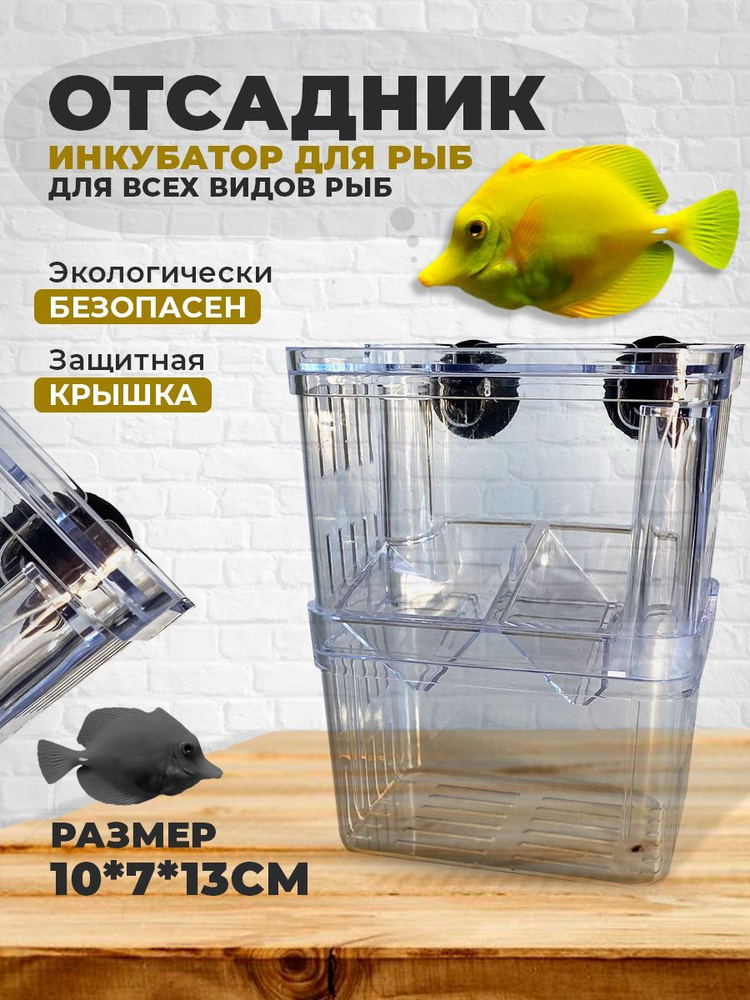 Отсадник инкубатор для рыб пластиковый 10х13х7 см - купить с доставкой ...