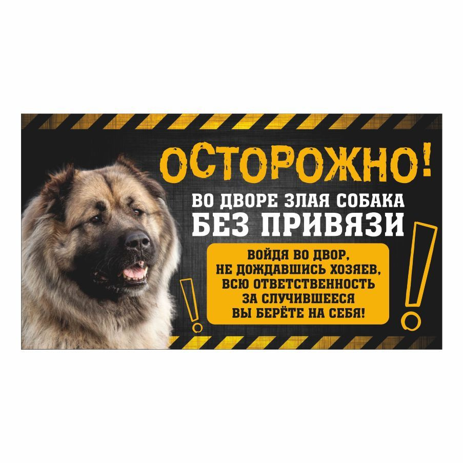 Табличка, с юмором, прикол, DANGER DOG, Собака без привязи, Кавказская  овчарка, 25x14 см, 25 см, 14 см - купить в интернет-магазине OZON по  выгодной цене (1010325524)