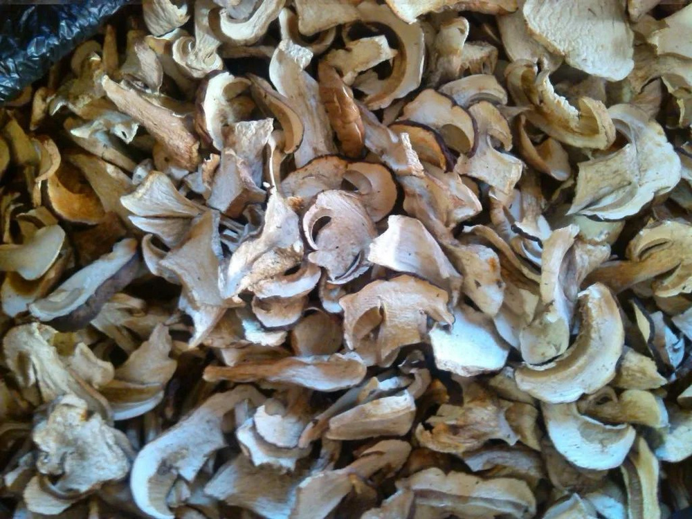 Белые грибы сушеные 200 гр Высший сорт Урожай 2023 #1