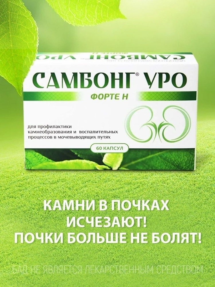 "САМБОНГ УРО ФОРТЕ Н" для почек, от камней в почках, профилактика ...