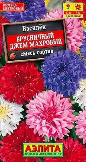 ВАСИЛЕК БРУСНИЧНЫЙ ДЖЕМ МАХРОВЫЙ. Семена. Вес 0,3 гр. Великолепная смесь васильков с крупными, махровыми #1