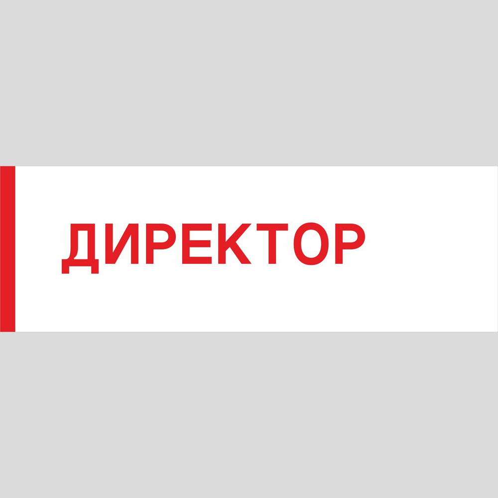 Табличка на дверь "Директор", ПВХ, интерьерная пластиковая табличка #1