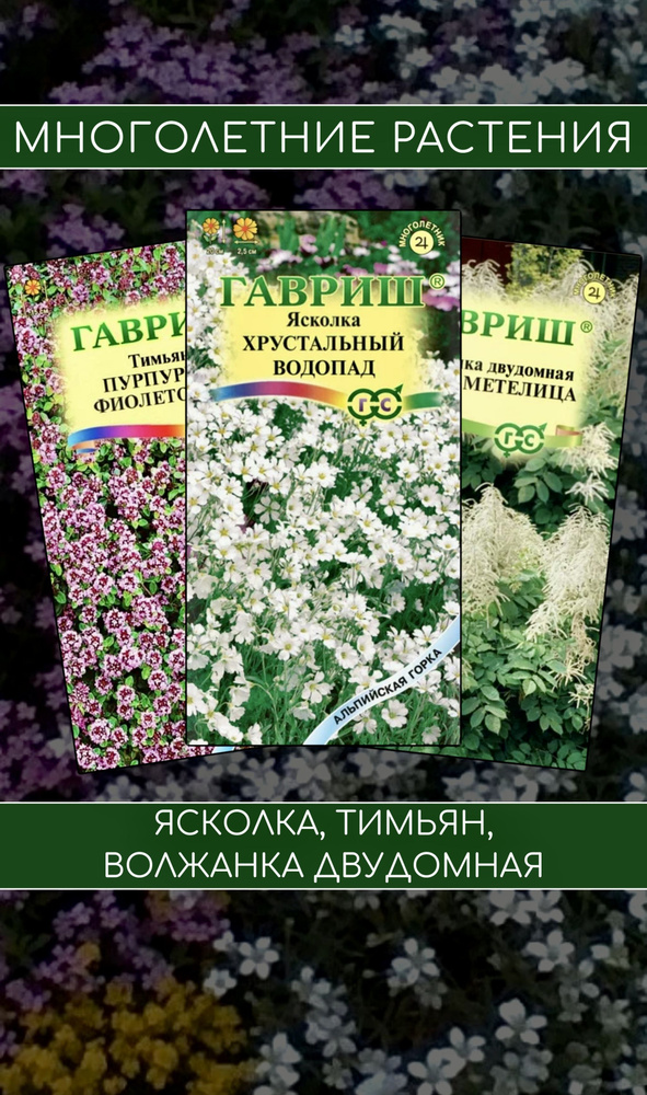 Волжанка двудомная "Белая метелица", Тимьян "Пурпурно-фиолетовый", Ясколка "Хрустальный водопад"  #1