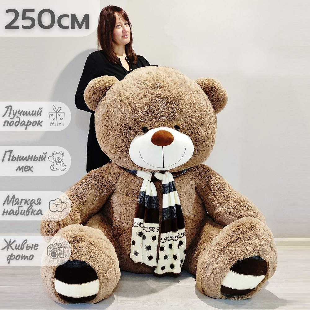 Мишка 250 см плюшевый. Медведь 250 см. Гигантский плюшевый медведь. Самые большие мягкие игрушки в мире. Плюшевый медведь 250см.