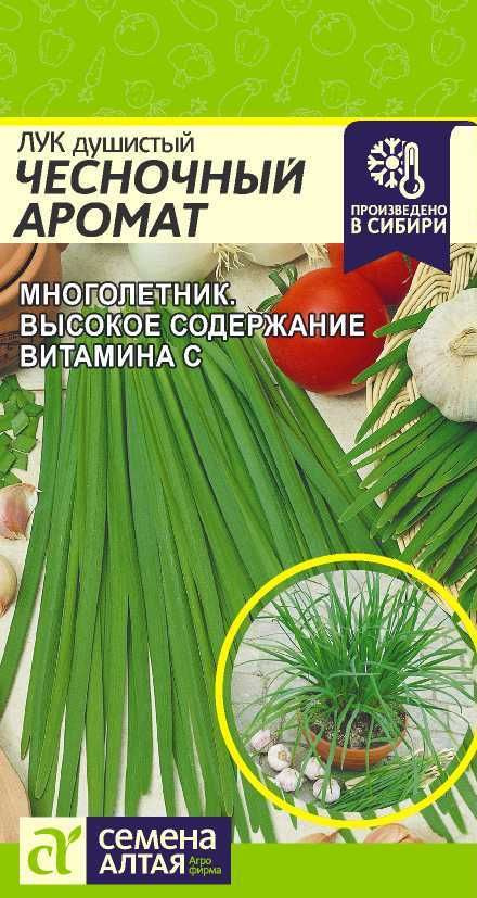 Лук душистый "Чесночный Аромат" семена Алтая для открытого грунта и теплиц, 0,5 гр  #1