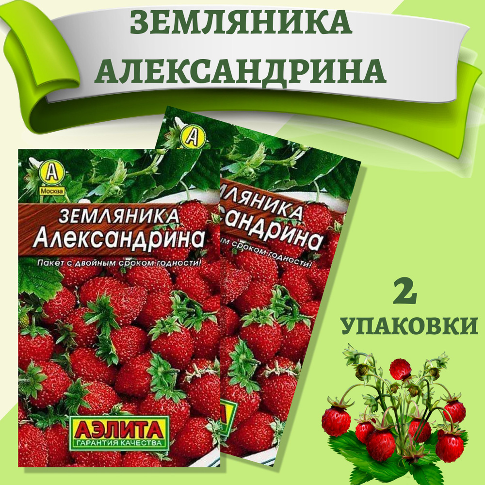 Земляника "Александрина" семена Аэлита для открытого грунта, теплицы, балкона и подоконника, 0,1 гр  #1