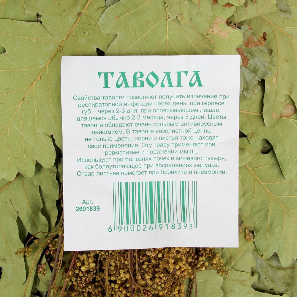 Веник для бани дубовый, 55 см с таволгой - Веник для бани, купить в ...