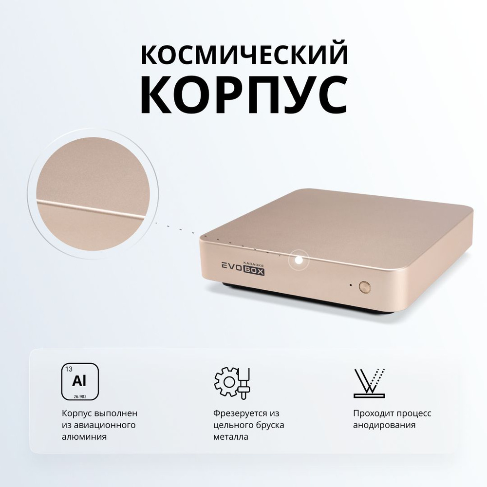 Караоке-система для дома EVOBOX Gold