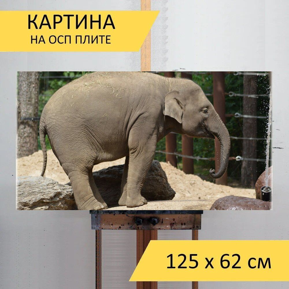 LotsPrints Картина "Слон, животное, ствол 38", 125  х 62 см #1