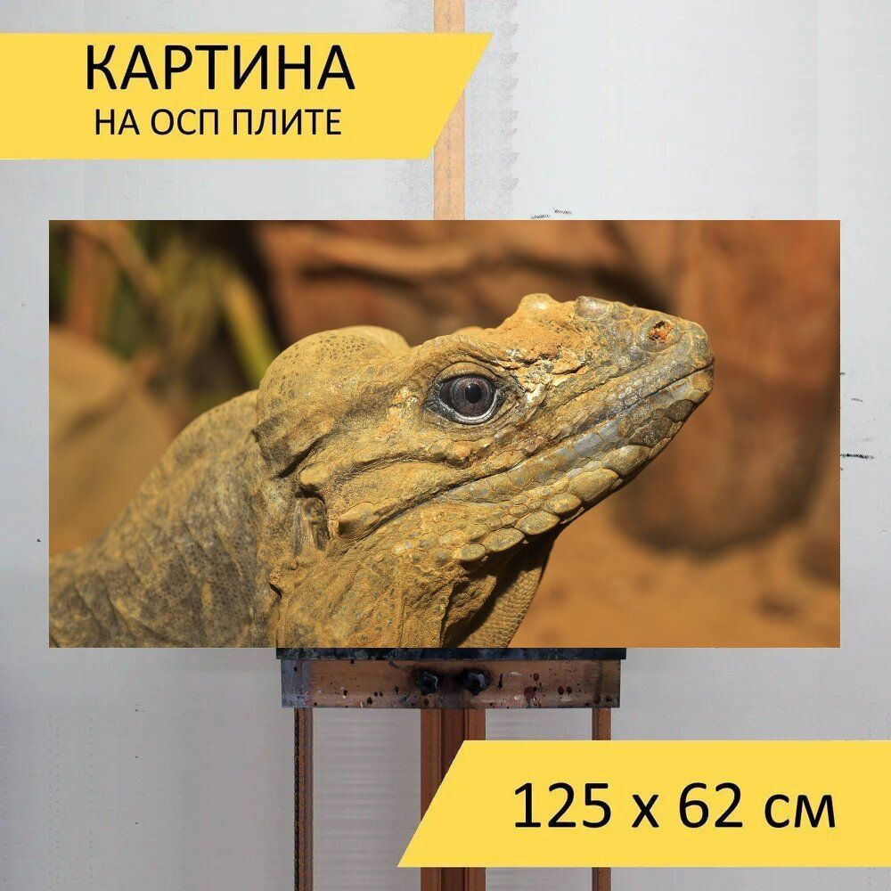 Картина пустыни 