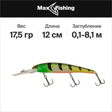 Воблер Bandit Lures Crankbait 300 BDTGS05. Опис, фото, відгуки