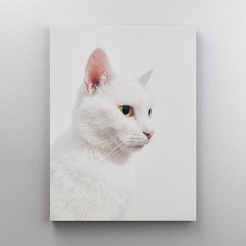 Рыже Белая Кошка – купить в интернет-магазине OZON по низкой цене