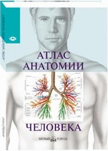 Атлас анатомии человека - купить с доставкой по выгодным ценам в ...