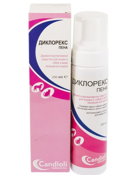 Үлкен сиськи видео соратын мүшесі Қара гей порно