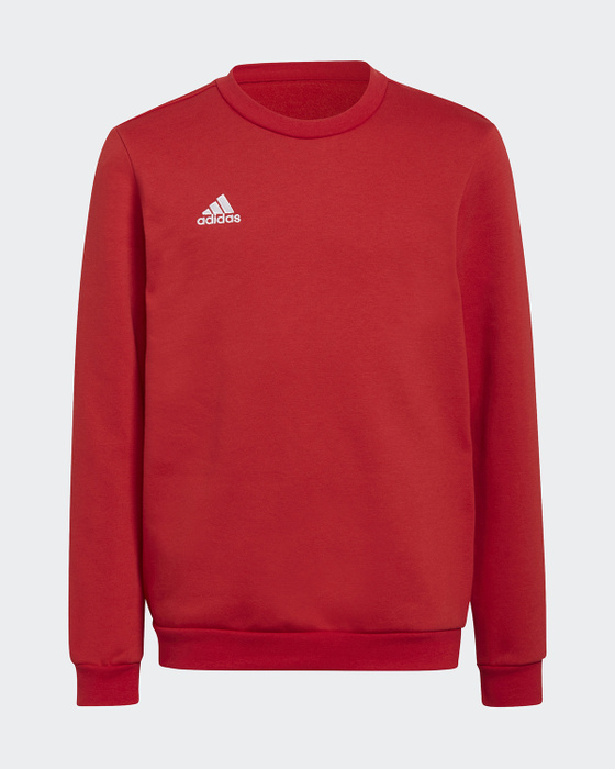 Свитшот adidas Entrada 22 Sweatshirt — купить в интернет-магазине OZON с  быстрой доставкой