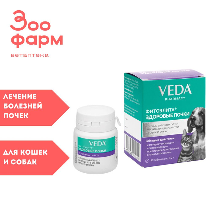 Здоровые почки для кошек