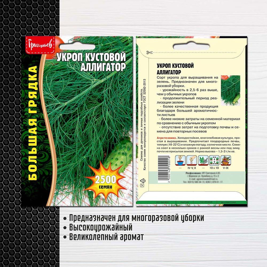 Семена укроп аллигатор. Укроп сорт аллигатор. Укроп сорт аллигатор. Укроп аллигатор фото описание. Укроп сорт кустистый.