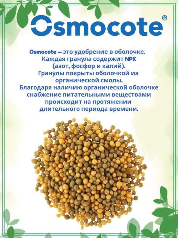 Осмокот удобрение. Osmocote bloom 2-3. Осмокот для овощей. Осмокот 18-18-18. Удобрения осмокот как использовать.