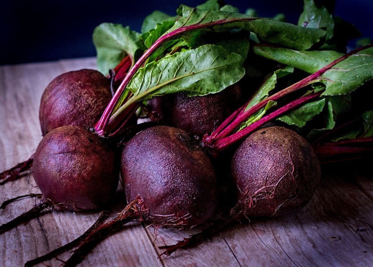 Хотите на своем огороде выращивать вкусные и качественные свеклы? Тогда наши профессиональные семена свеклы озимой столовой семена свеклы Цеппо 2шт отлично подойдут для этой цели!  Наши семена свеклы Цепо являются односемянными, что означает высокую рентабельность и улучшенную схему посадки. Благодаря этому, вы будете получать крупные и сочные корнеплоды каждый сезон.  Одним из самых популярных рецептов, где используется свекла, является русский борщ. Наша свекла Русский борщ специально разработана для выращивания именно для этого блюда. При помощи наших семян вы сможете вырастить урожай с насыщенным красным цветом и выразительным вкусом.  Приобретая семена свеклы Русский борщ у нас, вы получаете уверенность в качестве и достоверности каждого семени. Мы используем самые современные технологии в процессе сбора и обработки семян, чтобы гарантировать высокую всхожесть и здоровье каждого растения.  Наши семена также предлагают разнообразие сортов, включая цилиндрическую одноростковую свеклу и кормовую одноростковую свеклу. Вы сможете выбрать наиболее подходящий для ваших потребностей сорт и наслаждаться богатым урожаем.  Приобретая наш набор семян свеклы, вы получаете все необходимые ингредиенты для успешного выращивания. В набор входят семена разных сортов свеклы, которые помогут вам вырастить разнообразный урожай.  Если вы предпочитаете бордовую свеклу, то наша бордовая свекла будет идеальным выбором для вас. С ее помощью вы сможете придать яркости и оригинальности любому блюду.  Также мы предлагаем семена свеклы Либеро, которая обладает прекрасным вкусом и удивительным цветом. С ее помощью вы сможете украсить любое блюдо и порадовать своих близких своей умелой кулинарией.  Семена свеклы озимой столовой  свеклы Цеппо 2шт от Поиск – это не только возможность выращивать вкусные и качественные корнеплоды, но и уверенность в достоверности и надежности каждого семени. Покупайте семена у нас и получите отличный урожай на своем огороде!