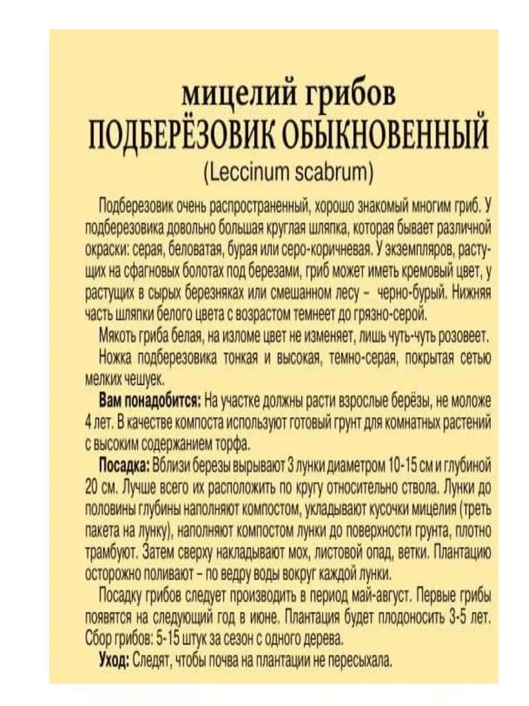Мицелий грибов "Подберёзовик", вариант, фото 2