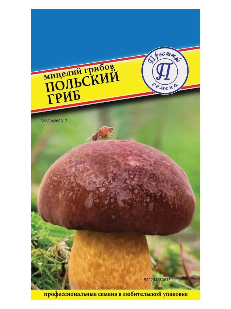 Мицелий грибов "ПОЛЬСКИЙ ГРИБ" семена, вариант