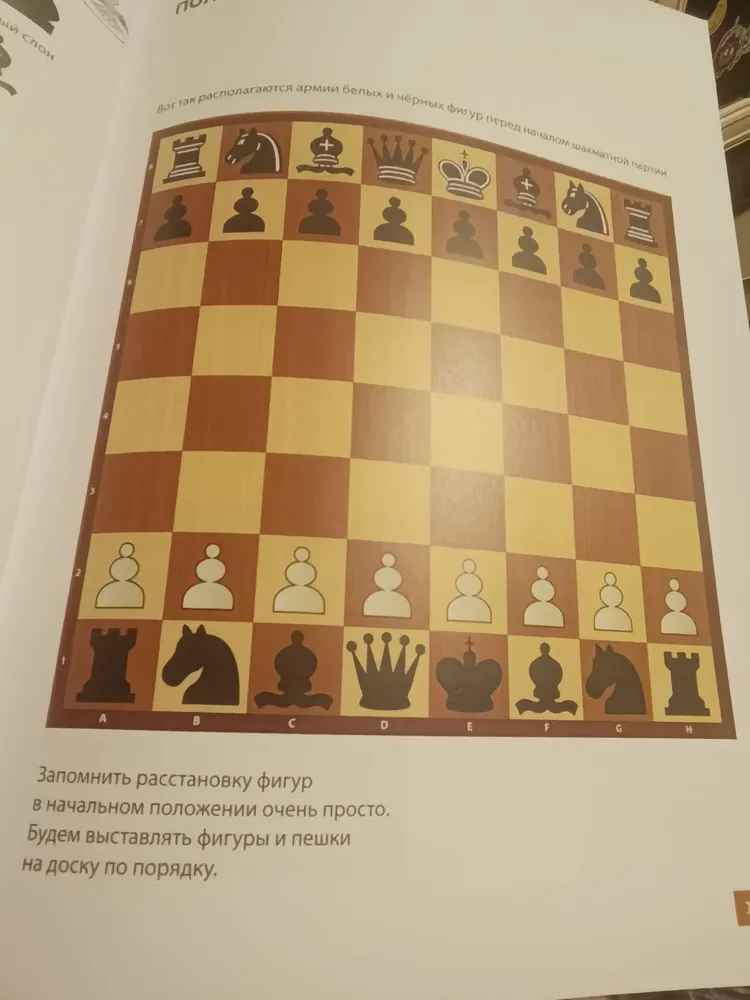 Шахматная школа. Учебник для младших классов, вариант, фото 2
