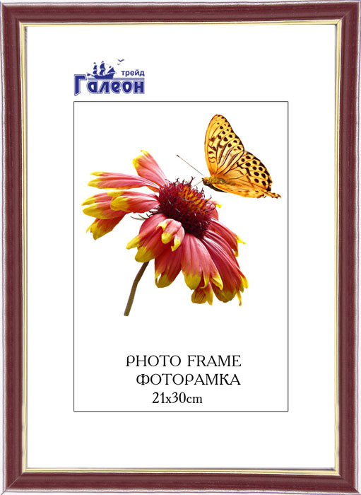 Фоторамка пластиковая 21 х 30 см, коричнево-красная