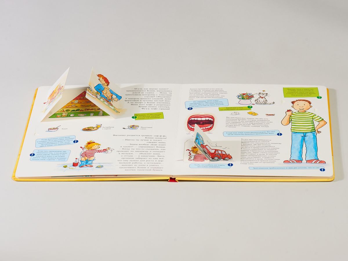 Конни изучает тело + картон | Cardboard Book for Toddlers: Animals - Ozon image 3