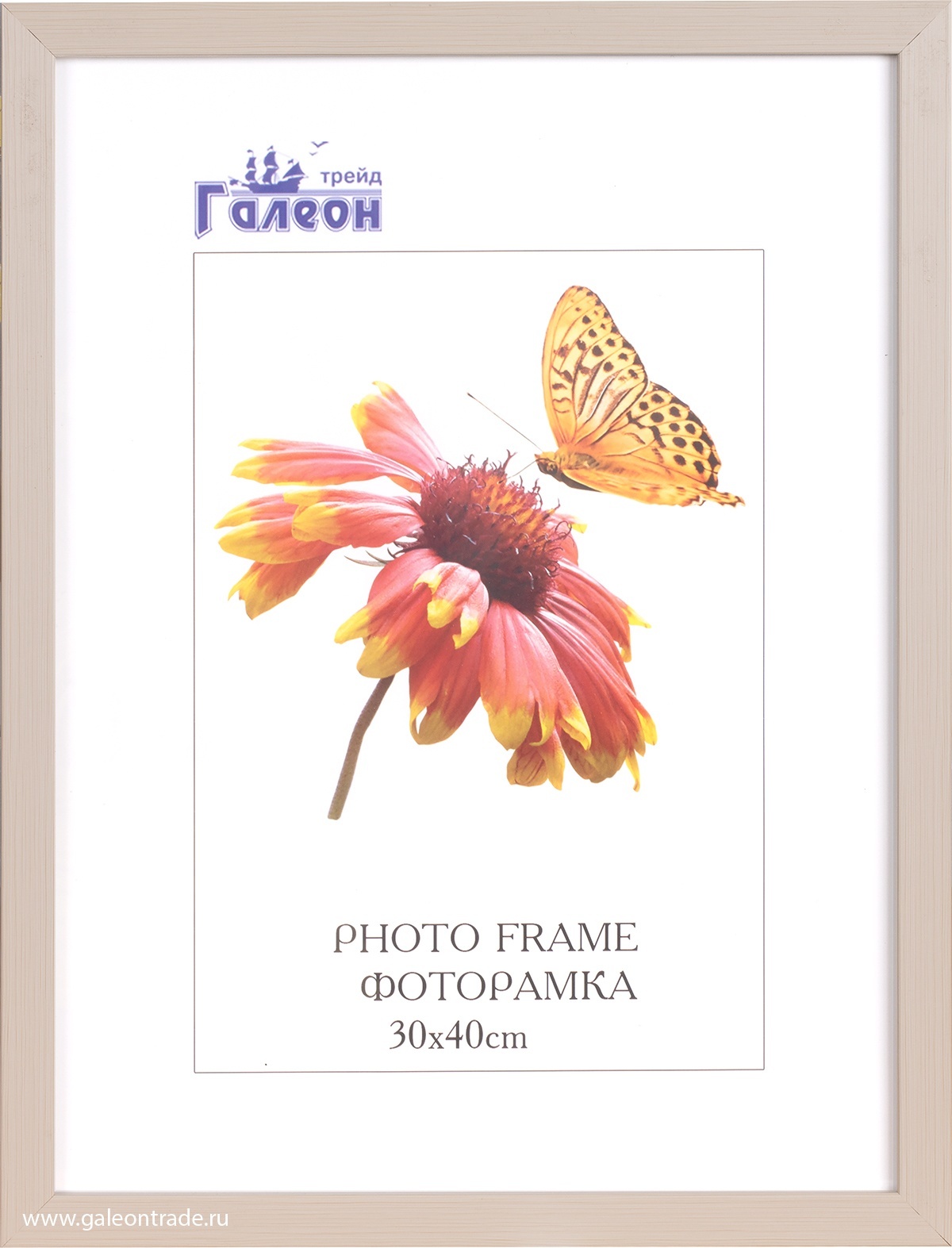 Фоторамка 30 х 40 см, ZR208B-208 Фоторамка 30 х 40 см, ZR208B-208