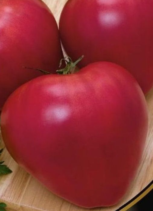 Томаты Сибирский сад Томат Бычье сердце - купить по выгодным ценам в интернет-ма
